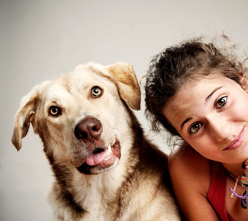 Comprar para Cão